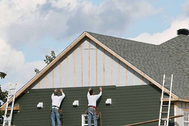 Best Steel Siding Installation  in Waldo, AR